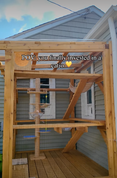 POV: you finally invested in a catio