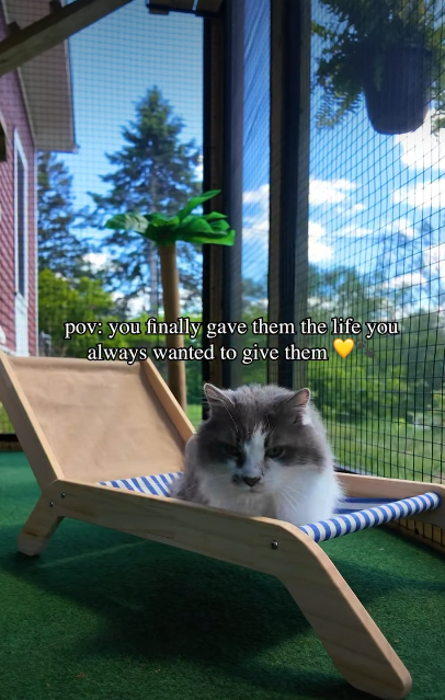 pov: you finally gave them the life you always wanted to give them