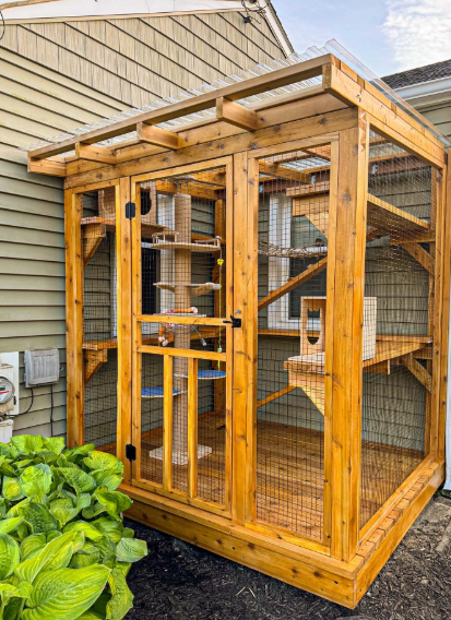 Cheezburger Image 10624349184