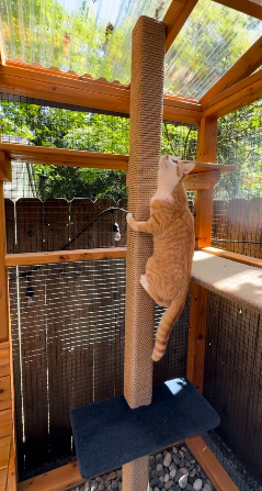 Cheezburger Image 10624351744