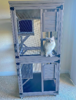 Cheezburger Image 10624352256