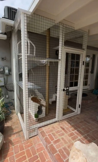 Cheezburger Image 10624352768