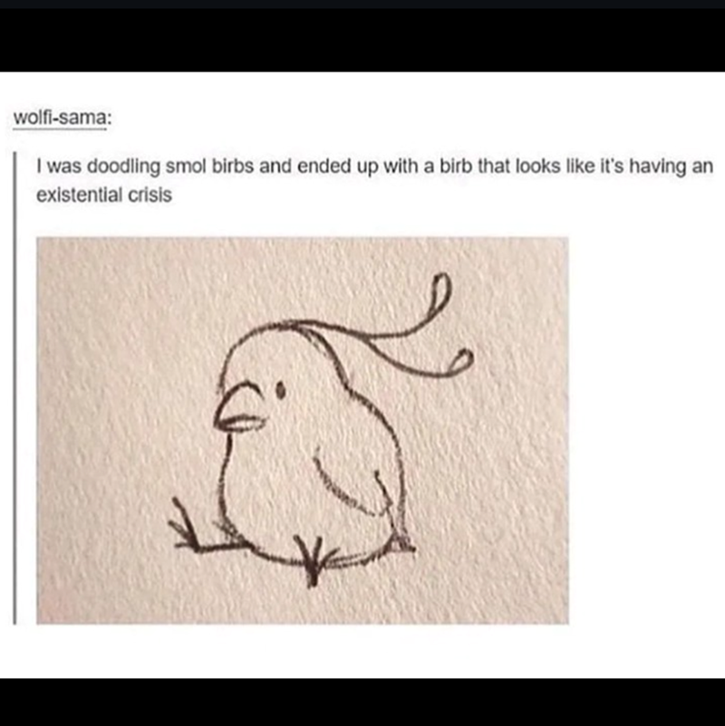 wolfi-sama: I was doodling smol birbs and ended up with a birb that looks like it's having an existential crisis