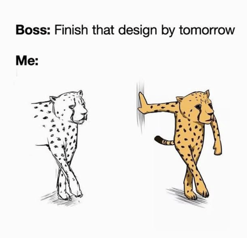 Boss: Finish that design by tomorrow Me: