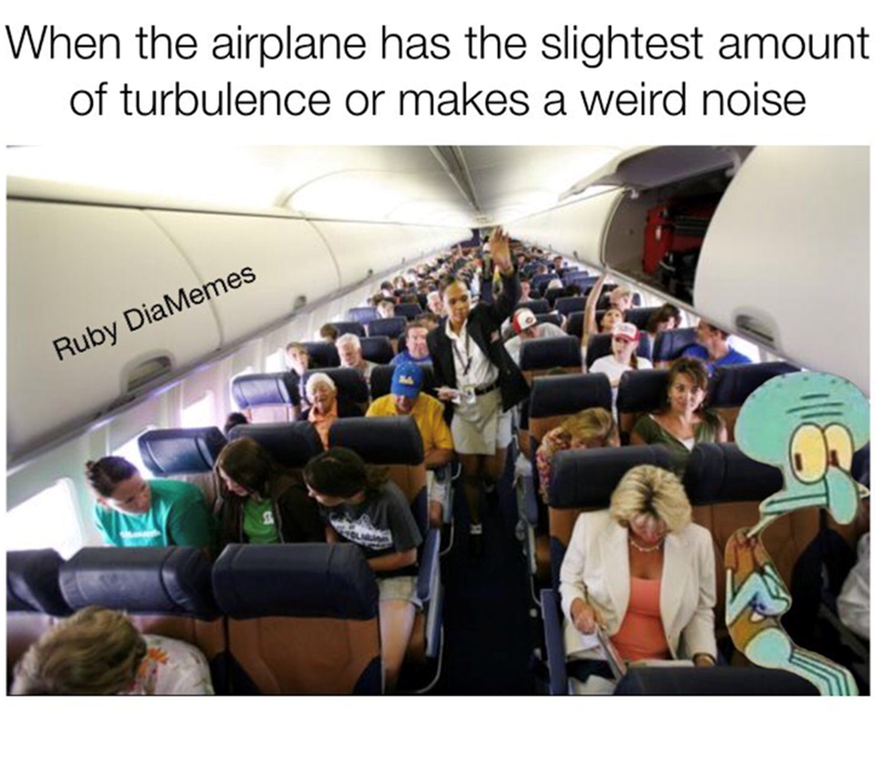 When the airplane has the slightest amount of turbulence or makes a weird noise Ruby DiaMemes