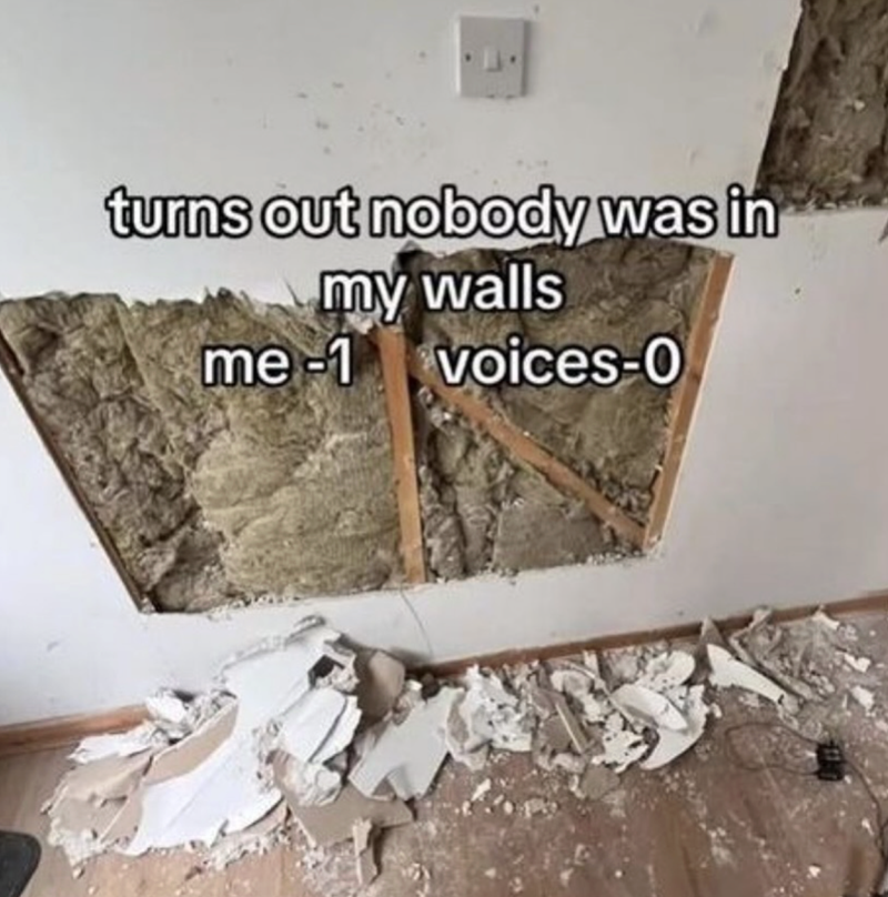 turns out nobody was in my walls me-1 voices-0