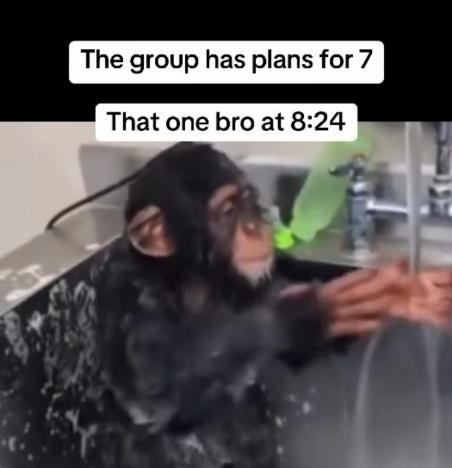 The group has plans for 7 That one bro at 8:24