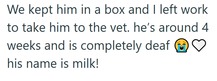 We kept him in a box and I left work to take him to the vet. he's around 4 weeks and is completely deaf ③ his name is milk!