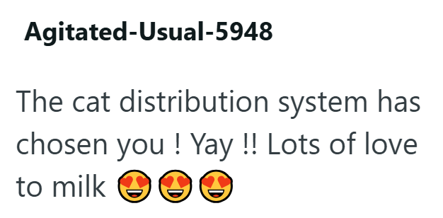 Agitated-Usual-5948 The cat distribution system has chosen you! Yay!! Lots of love to milk