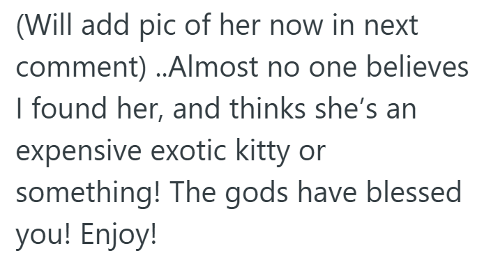 (Will add pic of her now in next comment) ..Almost no one believes I found her, and thinks she's an expensive exotic kitty or something! The gods have blessed you! Enjoy!