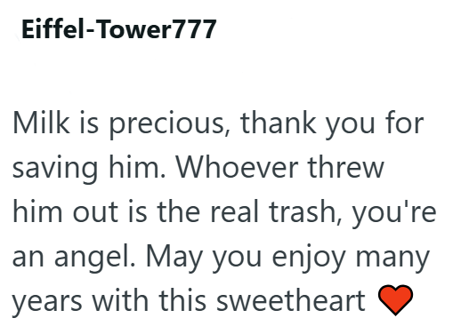 Eiffel-Tower777 Milk is precious, thank you for saving him. Whoever threw him out is the real trash, you're an angel. May you enjoy many years with this sweetheart