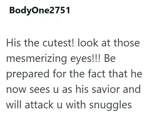 BodyOne2751 His the cutest! look at those mesmerizing eyes!!! Be prepared for the fact that he now sees u as his savior and will attack u with snuggles
