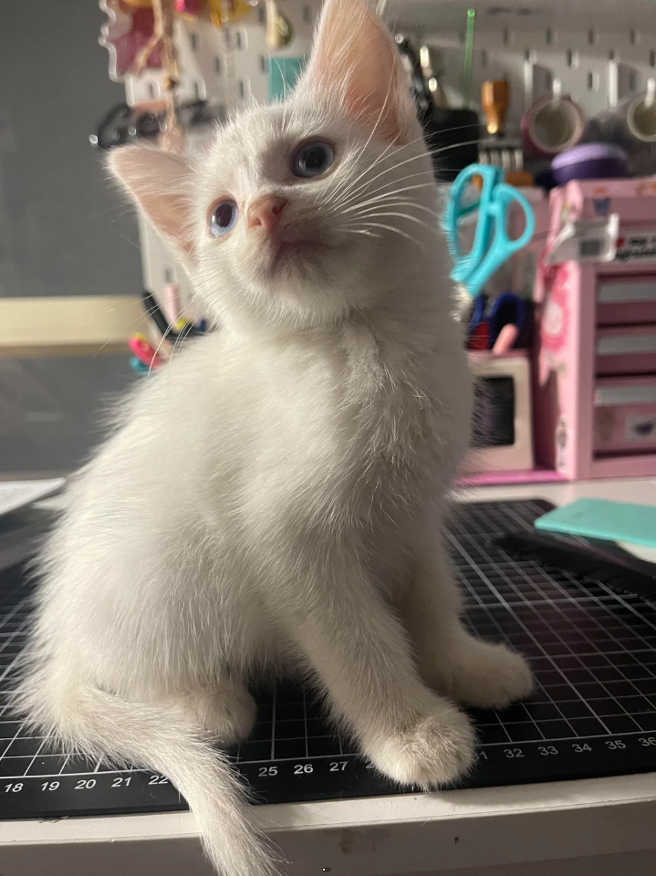 18 19 20 21 22 25 26 27 32 33 34 35 36