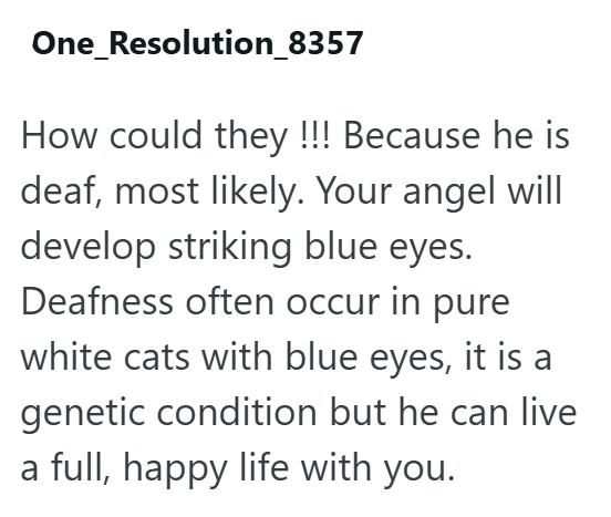 One_Resolution_8357 How could they !!! Because he is deaf, most likely. Your angel will develop striking blue eyes. Deafness often occur in pure white cats with blue eyes, it is a genetic condition but he can live a full, happy life with you.