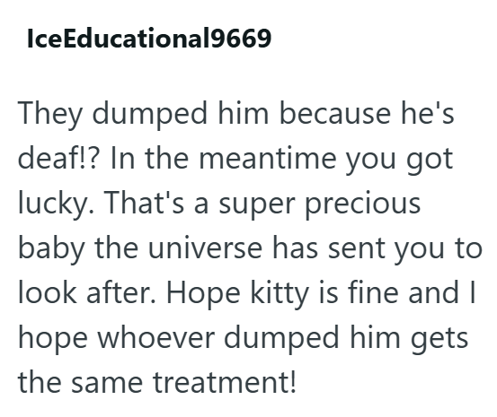 IceEducational9669 They dumped him because he's deaf!? In the meantime you got lucky. That's a super precious baby the universe has sent you to look after. Hope kitty is fine and I hope whoever dumped him gets the same treatment!