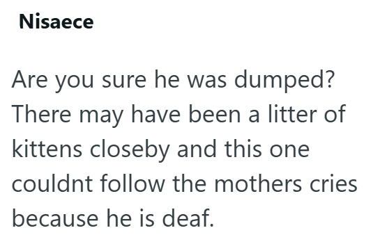 Nisaece Are you sure he was dumped? There may have been a litter of kittens closeby and this one couldnt follow the mothers cries because he is deaf.