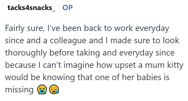 tacks4snacks OP Fairly sure, I've been back to work everyday since and a colleague and I made sure to look thoroughly before taking and everyday since because I can't imagine how upset a mum kitty would be knowing that one of her babies is missing