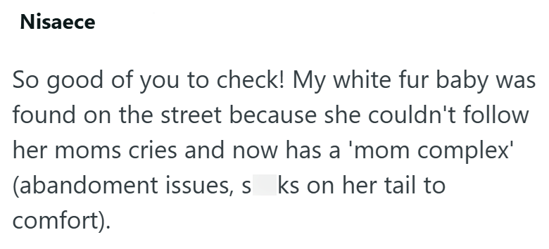 Nisaece So good of you to check! My white fur baby was found on the street because she couldn't follow her moms cries and now has a 'mom complex' (abandoment issues, s ks on her tail to comfort).
