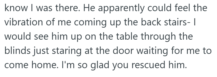 know I was there. He apparently could feel the vibration of me coming up the back stairs- I would see him up on the table through the blinds just staring at the door waiting for me to come home. I'm so glad you rescued him.