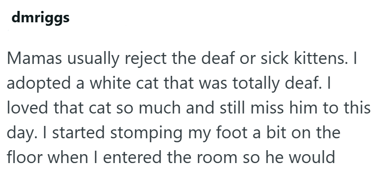 dmriggs Mamas usually reject the deaf or sick kittens. I adopted a white cat that was totally deaf. I loved that cat so much and still miss him to this day. I started stomping my foot a bit on the floor when I entered the room so he would