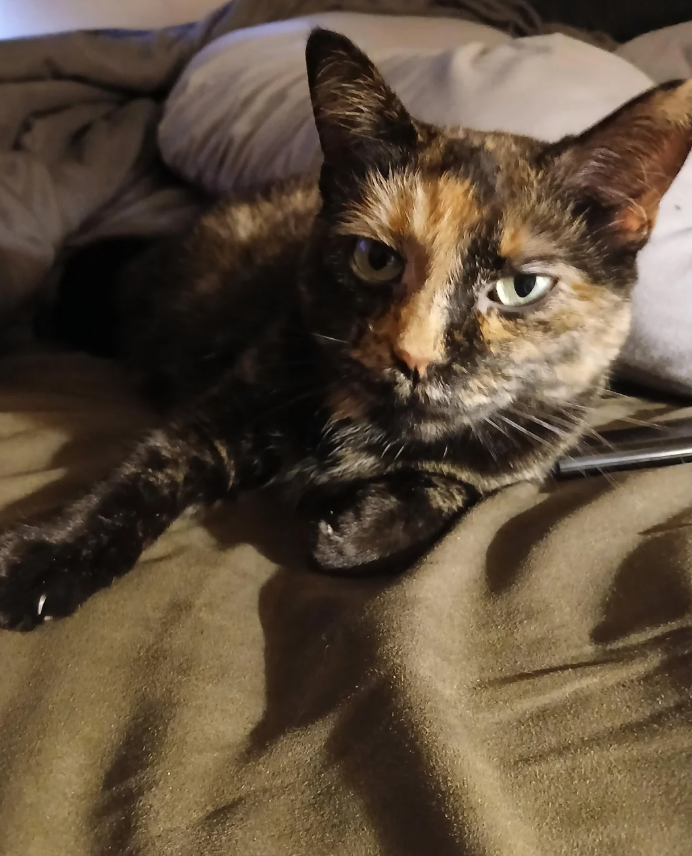 Cheezburger Image 10624453120