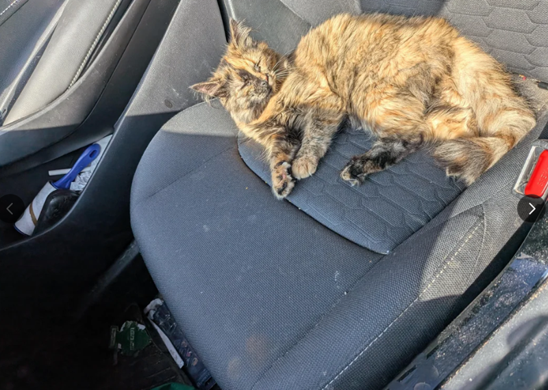 Cheezburger Image 10624455424