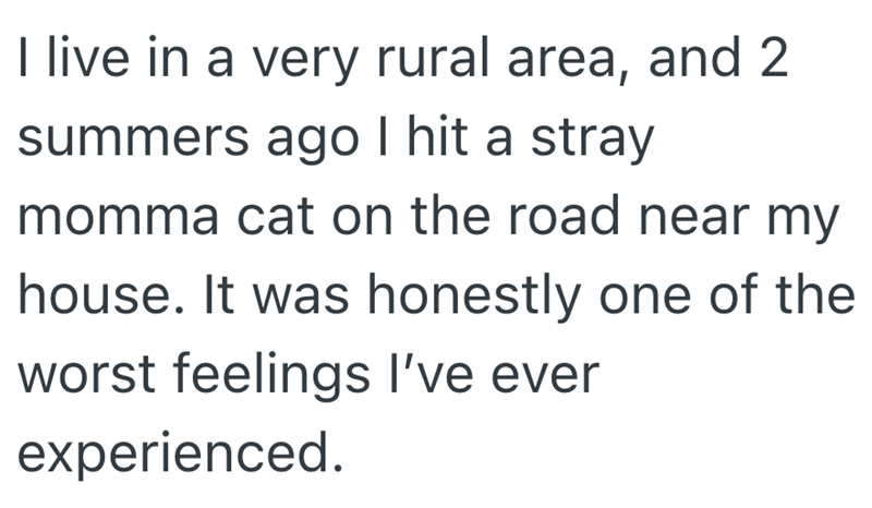 I live in a very rural area, and 2 summers ago I hit a stray momma cat on the road near my house. It was honestly one of the worst feelings I've ever experienced.