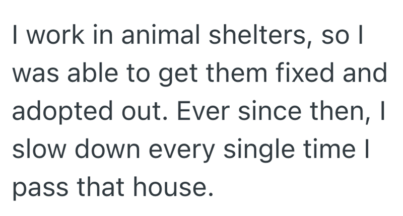I work in animal shelters, so I was able to get them fixed and adopted out. Ever since then, I slow down every single time I pass that house.