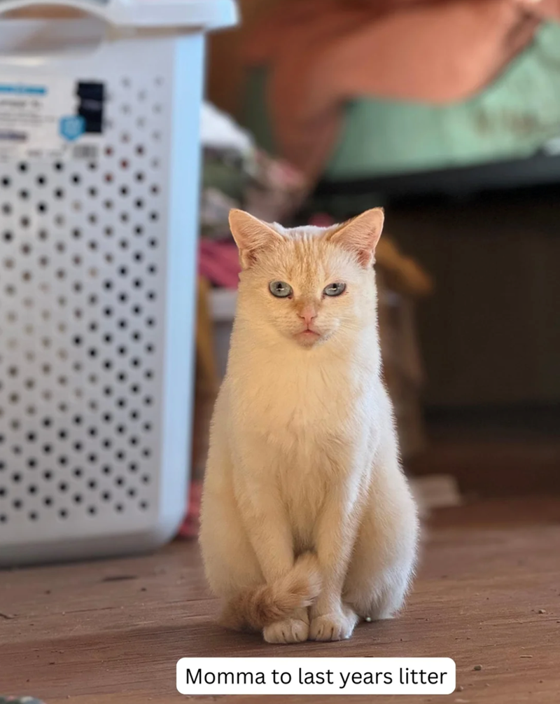 Momma to last years litter