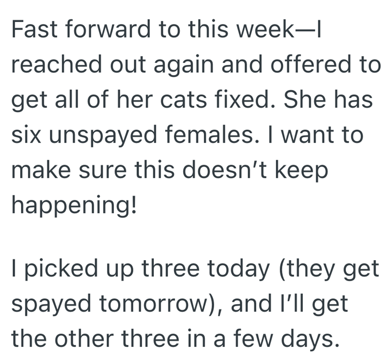 Fast forward to this week-l reached out again and offered to get all of her cats fixed. She has six unspayed females. I want to make sure this doesn't keep happening! I picked up three today (they get spayed tomorrow), and I'll get the other three in a few days.