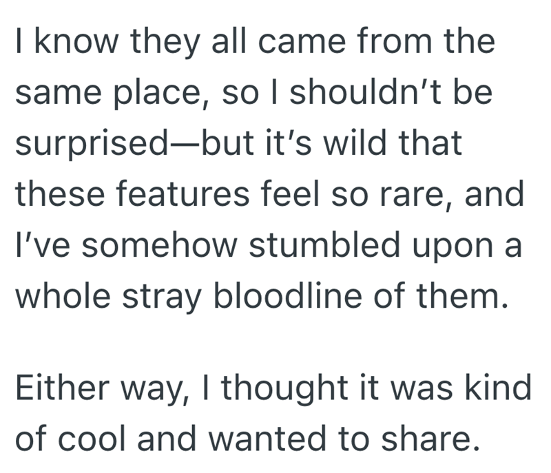 I know they all came from the same place, so I shouldn't be surprised—but it's wild that these features feel so rare, and I've somehow stumbled upon a whole stray bloodline of them. Either way, I thought it was kind of cool and wanted to share.