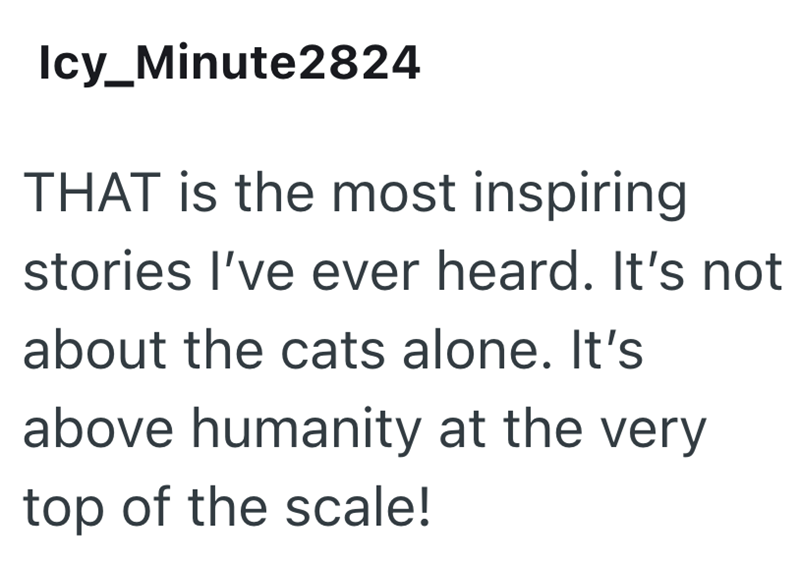 Icy_Minute2824 THAT is the most inspiring. stories I've ever heard. It's not about the cats alone. It's above humanity at the very. top of the scale!