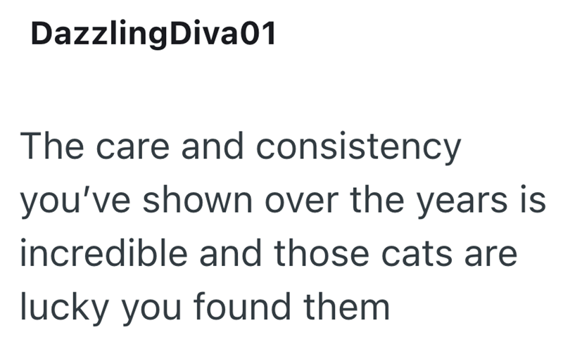 Dazzling Diva01 The care and consistency you've shown over the years is incredible and those cats are lucky you found them
