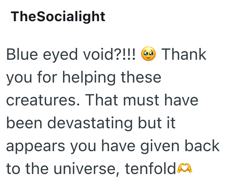TheSocialight 60 Blue eyed void?!!! Thank you for helping these creatures. That must have been devastating but it appears you have given back to the universe, tenfold