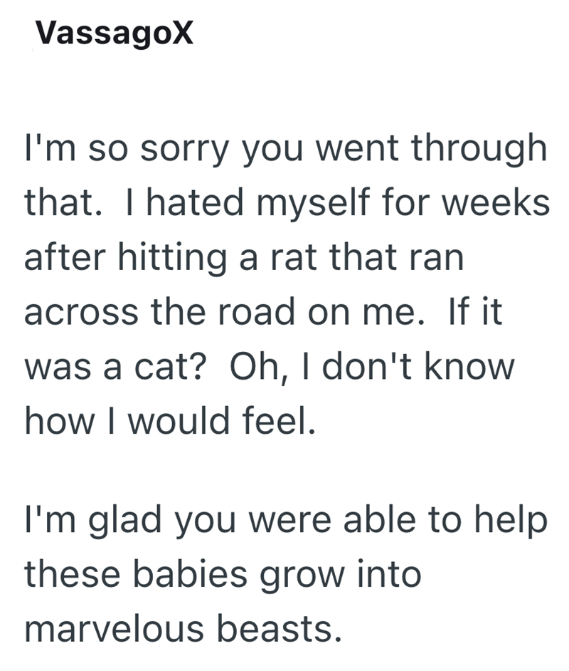 VassagoX I'm so sorry you went through that. I hated myself for weeks after hitting a rat that ran across the road on me. If it was a cat? Oh, I don't know how I would feel. I'm glad you were able to help these babies grow into marvelous beasts.
