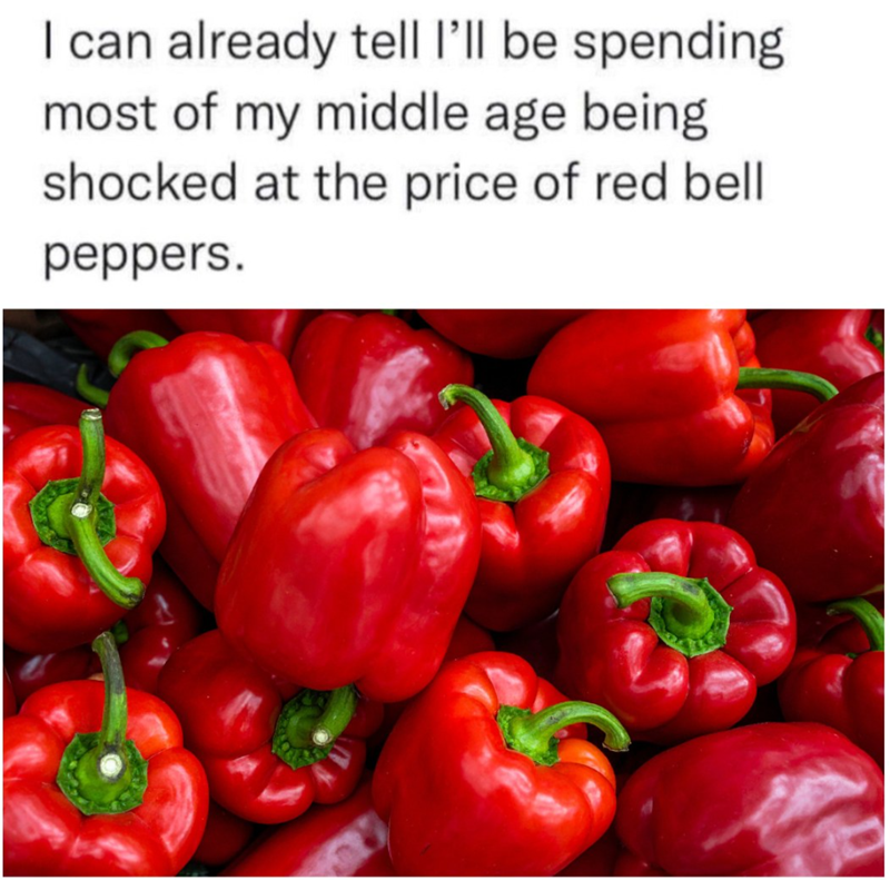 I can already tell I'll be spending most of my middle age being shocked at the price of red bell peppers.