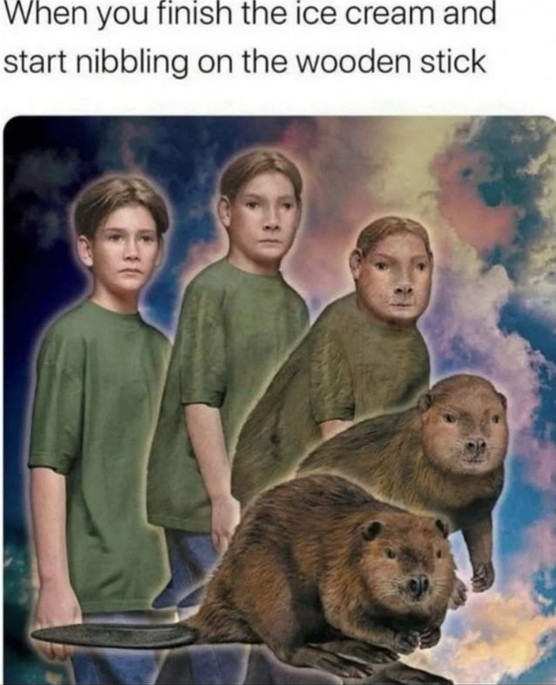 When you finish the ice cream and start nibbling on the wooden stick