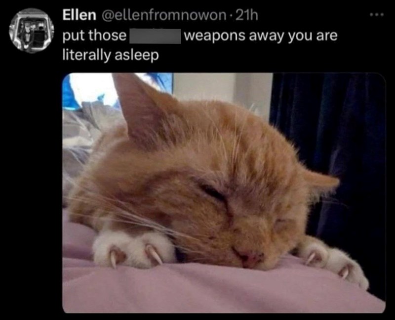 Ellen @ellenfrom nowon 21h put those literally asleep weapons away you are