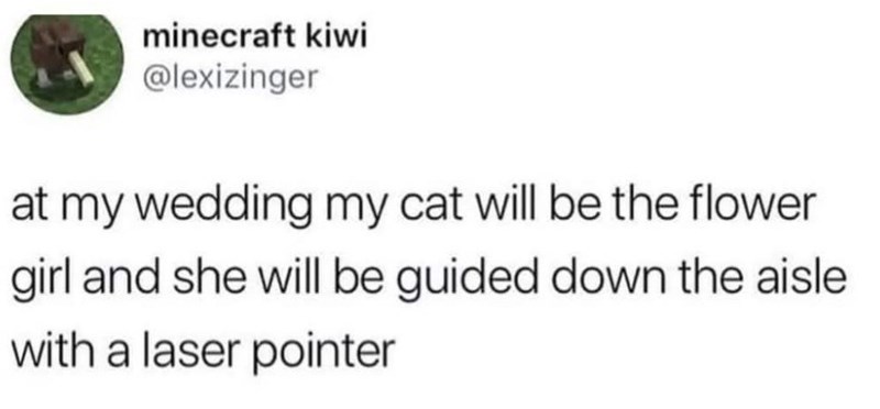 minecraft kiwi @lexizinger at my wedding my cat will be the flower girl and she will be guided down the aisle with a laser pointer