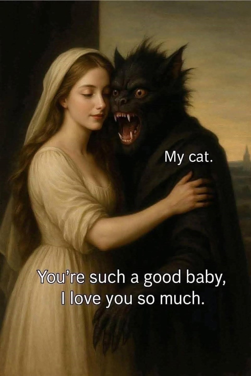 My cat. You're such a good baby, I love you so much.