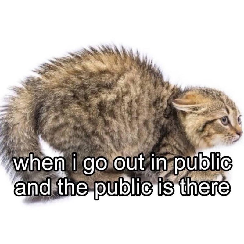when i go out in public and the public is there