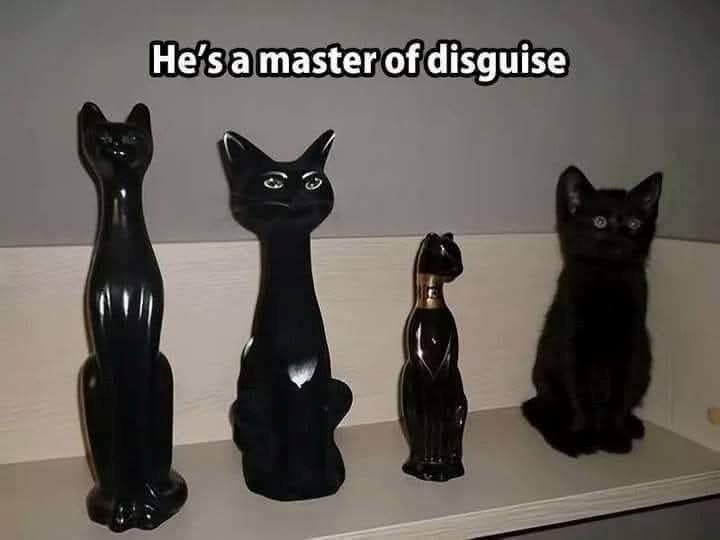 He's a master of disguise