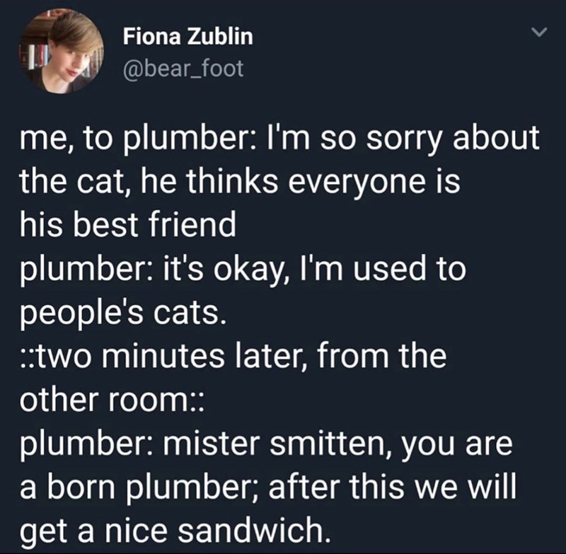 Fiona Zublin @bear_foot me, to plumber: I'm so sorry about the cat, he thinks everyone is his best friend plumber: it's okay, I'm used to people's cats. ::two minutes later, from the other room:: plumber: mister smitten, you are a born plumber; after this we will get a nice sandwich.