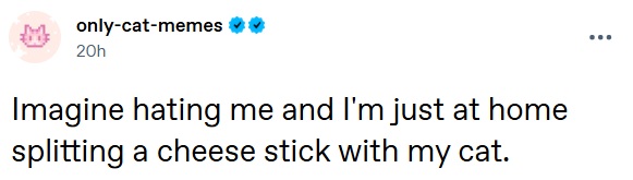 only-cat-memes 20h Imagine hating me and I'm just at home splitting a cheese stick with my cat.