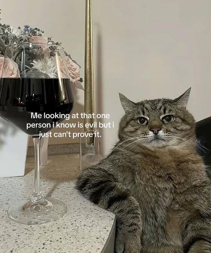 Me looking at that one person i know is evil but i just can't prove it.