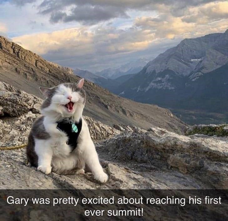 Gary was pretty excited about reaching his first ever summit!