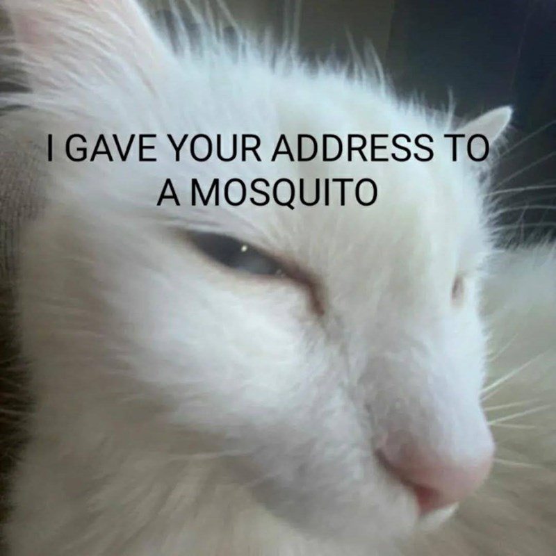 I GAVE YOUR ADDRESS TO A MOSQUITO