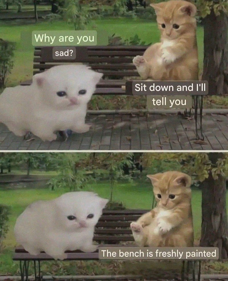 Why are you a sad? Sit down and I'll tell you The bench is freshly painted