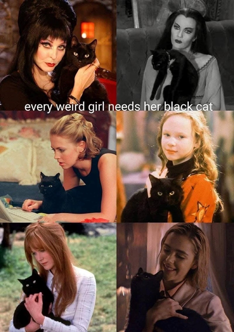 every weird girl needs her black cat