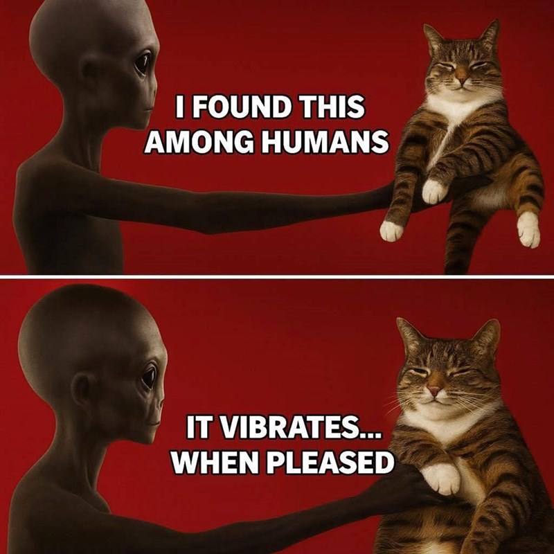 I FOUND THIS AMONG HUMANS IT VIBRATES... WHEN PLEASED